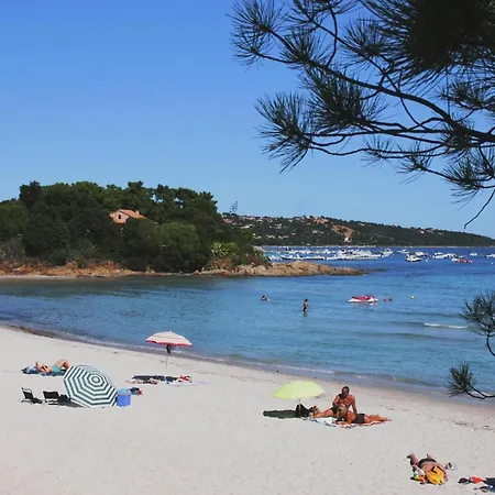 Appartement Apartment Near Pinarellu Bay Beach, Cleaning Included *